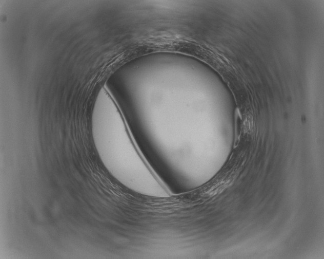 X0000068841156200605050936