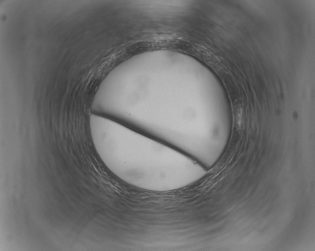 X0000068841204200605050935