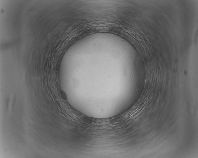 X0000068841249200605050935