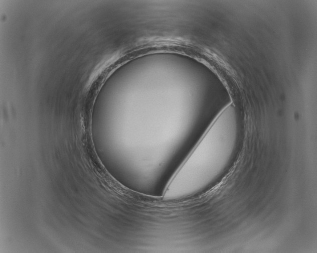 X0000068841261200605050934