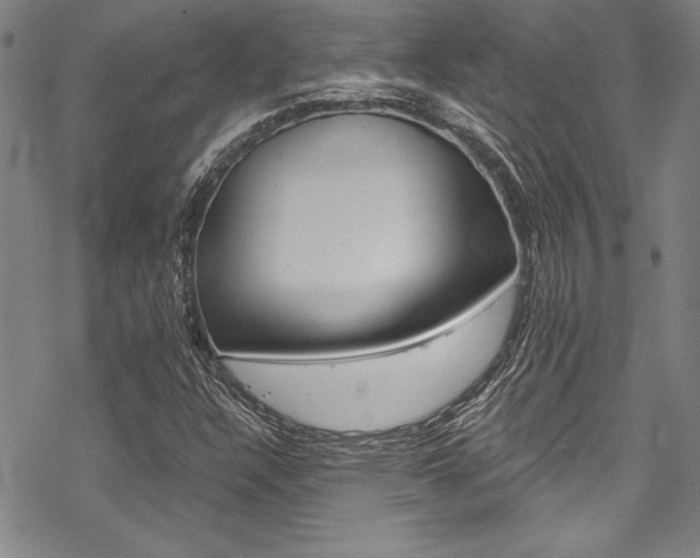 X0000068841304200605050933