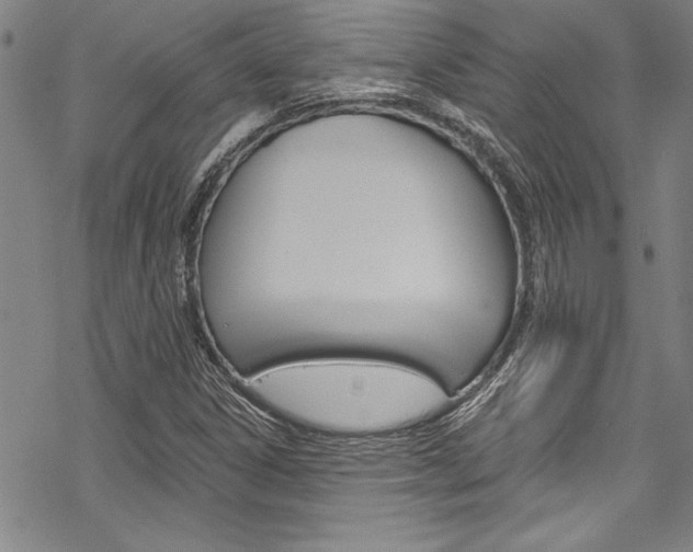 X0000068841306200605050933