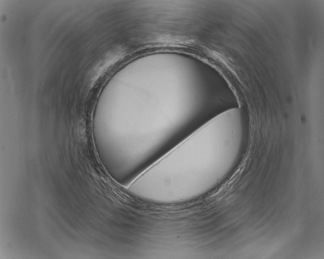 X0000068841307200605050933
