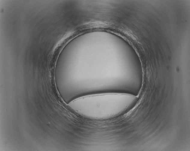 X0000068841309200605050933