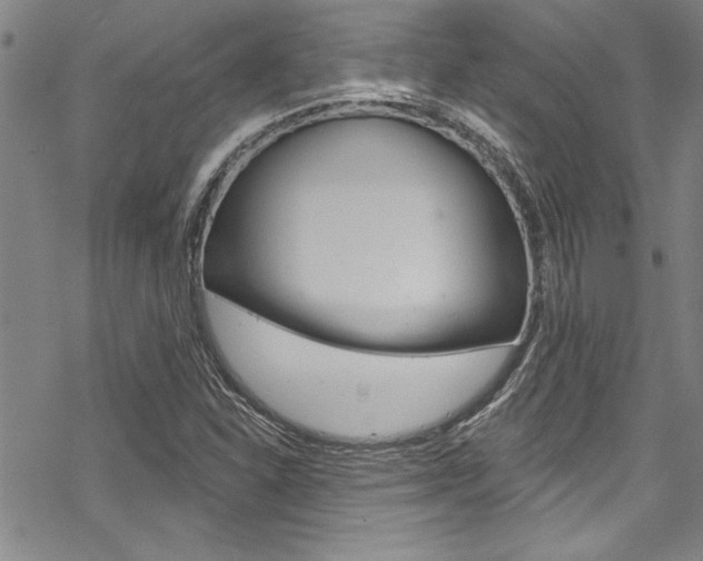 X0000068841310200605050933
