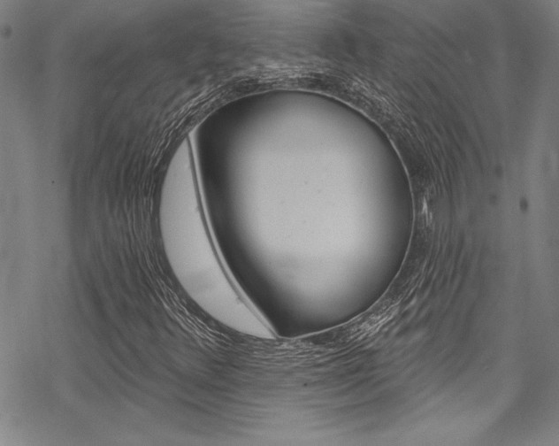 X0000068841348200605050933