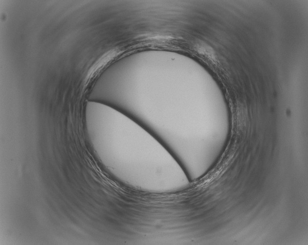 X0000068841354200605050933