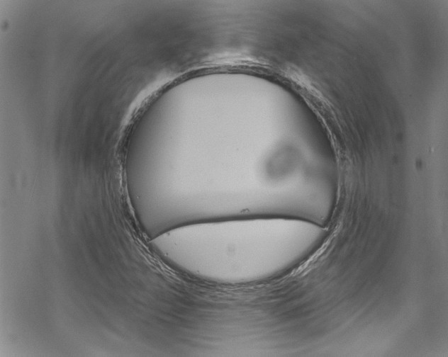 X0000068841358200605050933