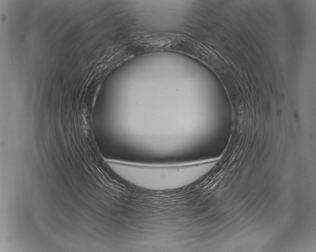 X0000068841394200605050931