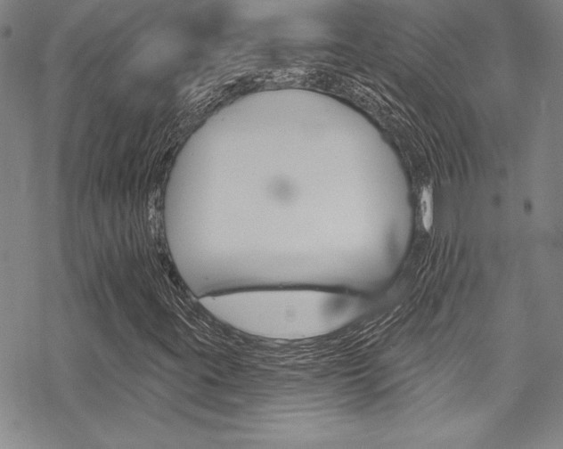 X0000068841395200605050932