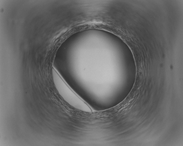 X0000068841398200605050932
