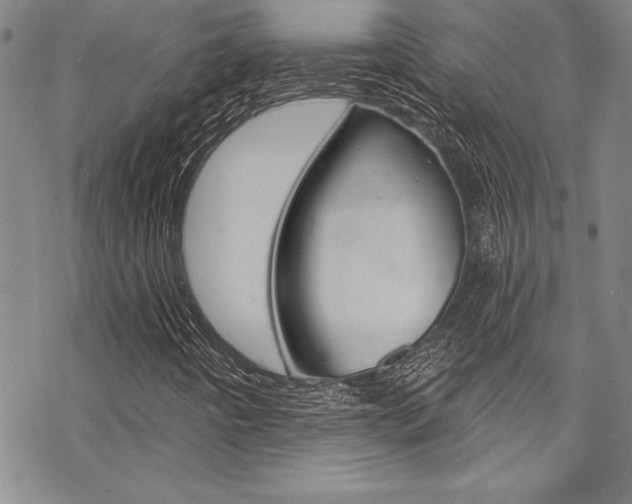 X0000068841442200605050931