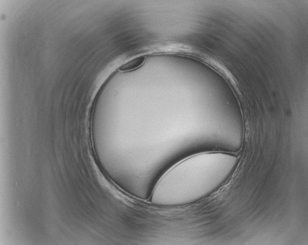 X0000068841483200605050931