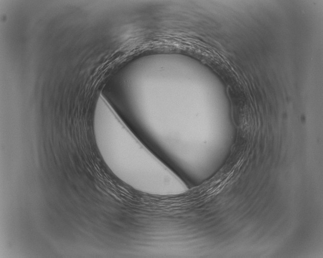X0000068841490200605050930