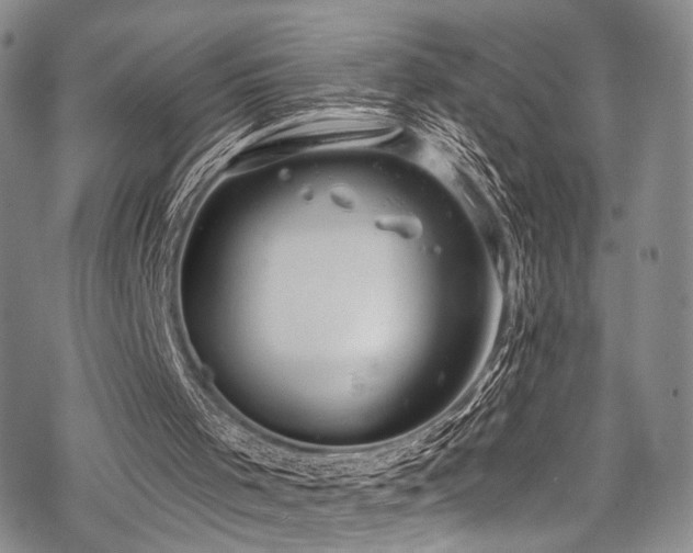 X0000068840001200605051313