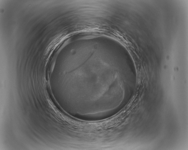 X0000068840002200605051313