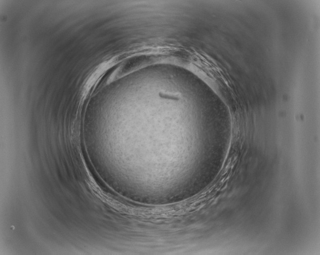 X0000068840003200605051313