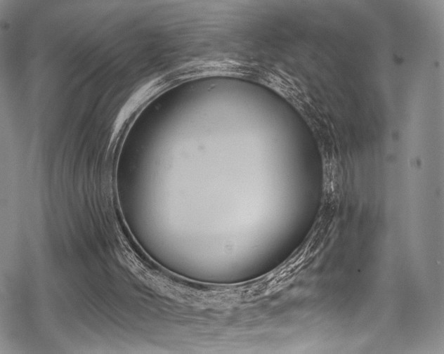 X0000068840004200605051313