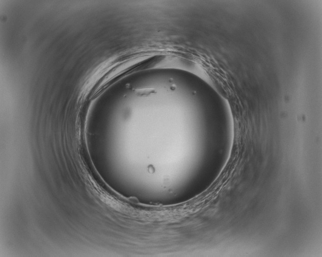 X0000068840005200605051313