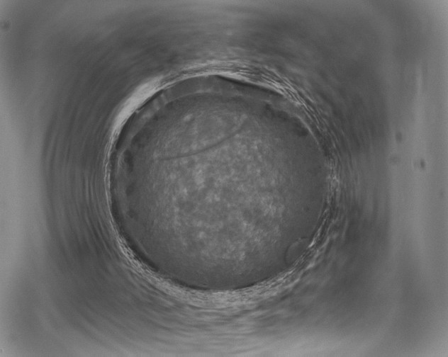 X0000068840006200605051313