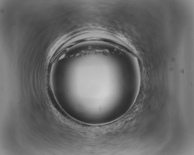 X0000068840007200605051313