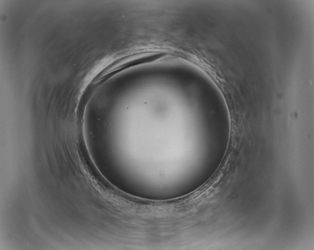 X0000068840008200605051313