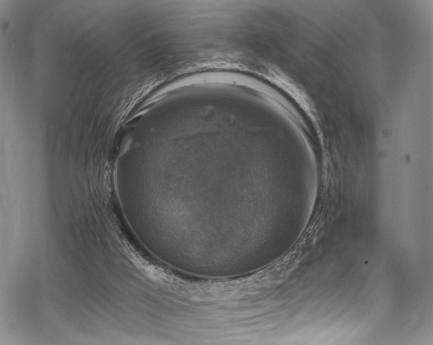 X0000068840009200605051313