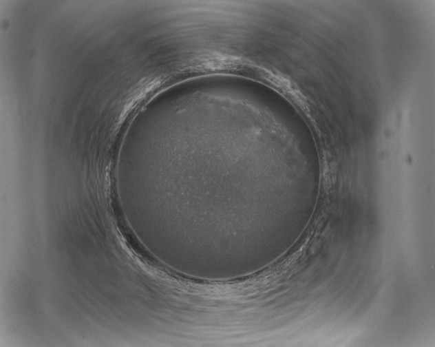 X0000068840010200605051313