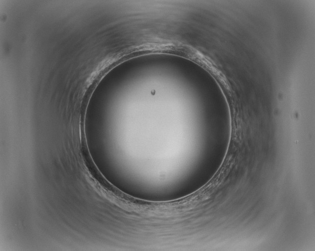 X0000068840011200605051313