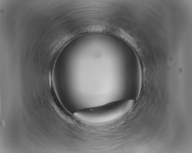 X0000068840013200605051313