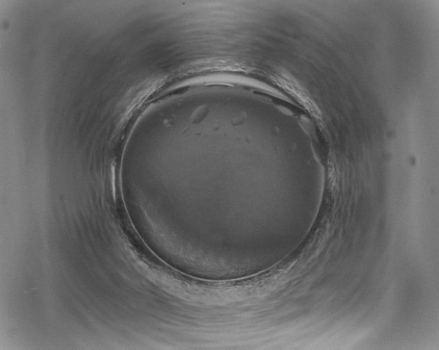 X0000068840014200605051313