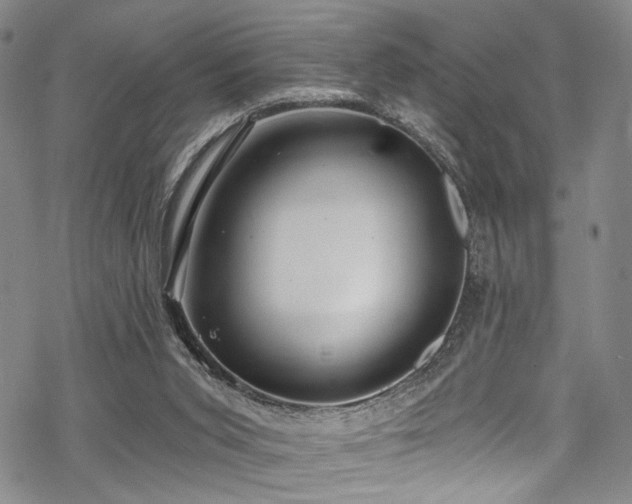 X0000068840015200605051313