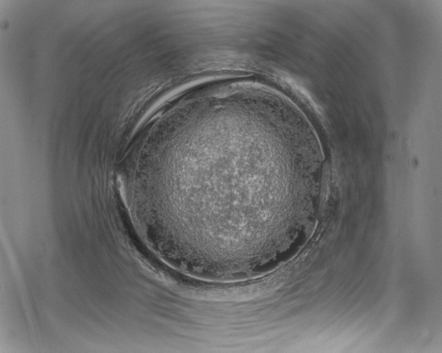 X0000068840017200605051313