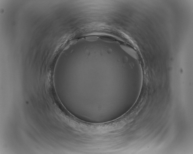 X0000068840018200605051313