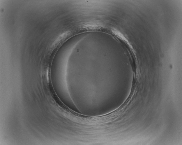 X0000068840019200605051313