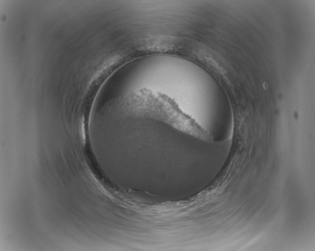 X0000068840020200605051313