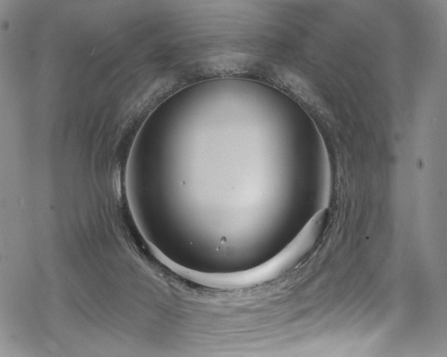 X0000068840021200605051313