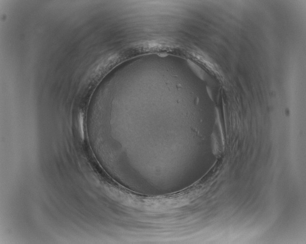 X0000068840022200605051313