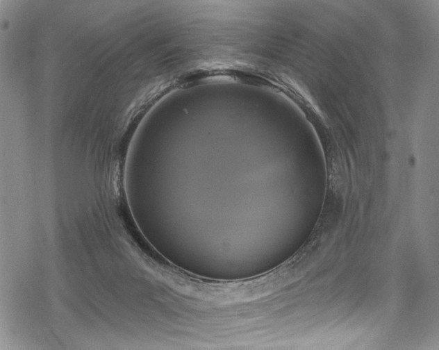 X0000068840023200605051313