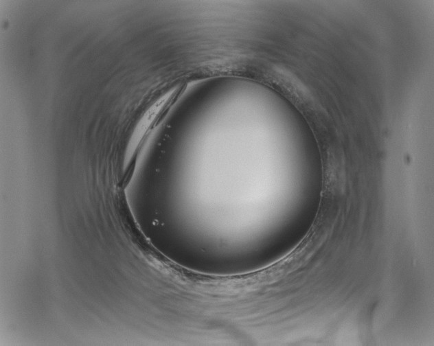 X0000068840025200605051313