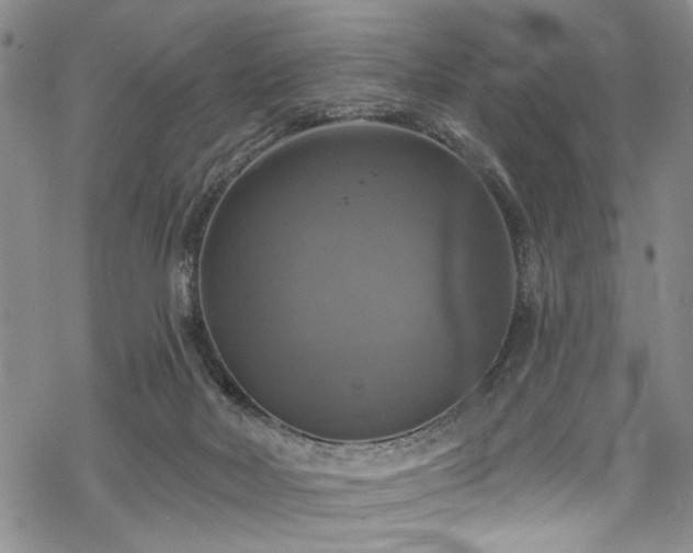 X0000068840026200605051313