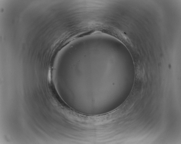 X0000068840027200605051313