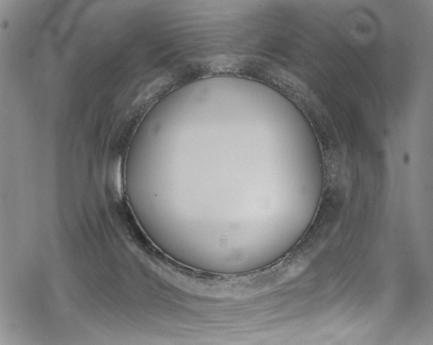 X0000068840028200605051313