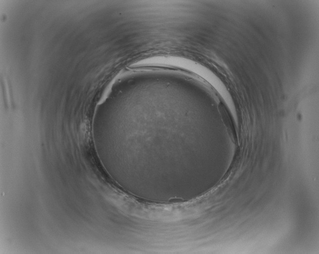 X0000068840029200605051313