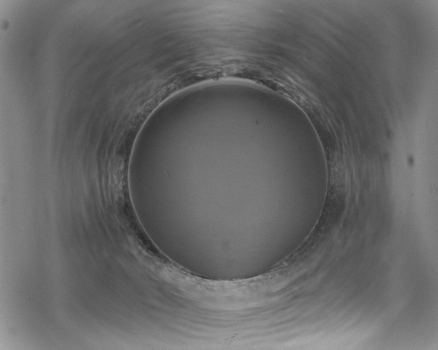 X0000068840030200605051313