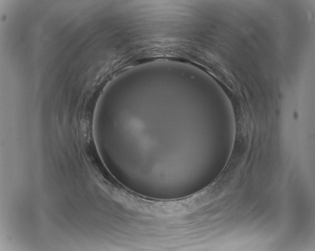 X0000068840031200605051313