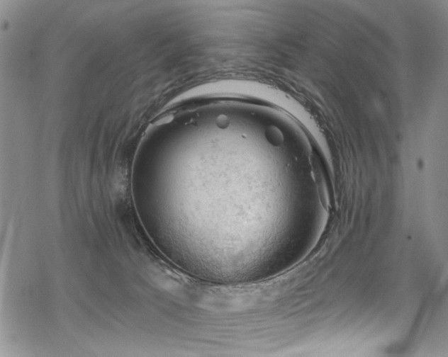 X0000068840033200605051313