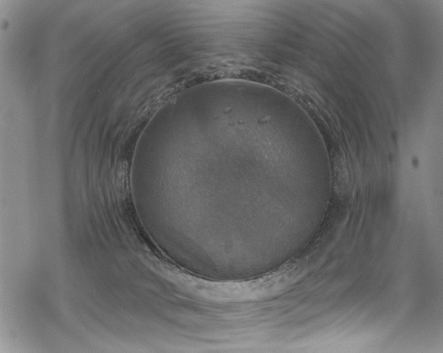 X0000068840034200605051313