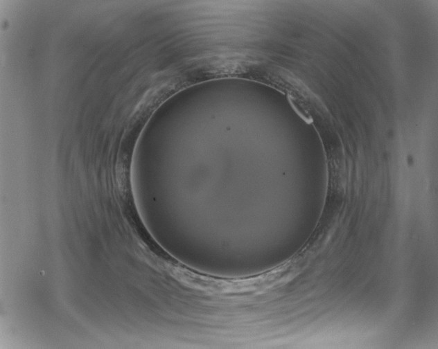 X0000068840035200605051313