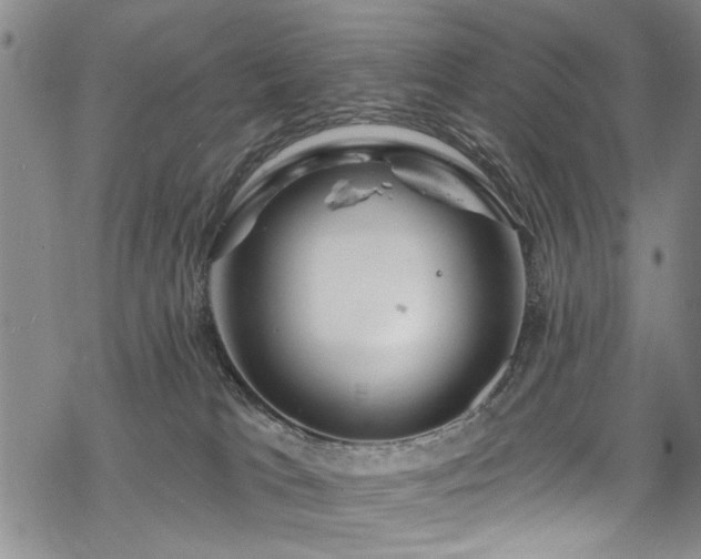 X0000068840037200605051313